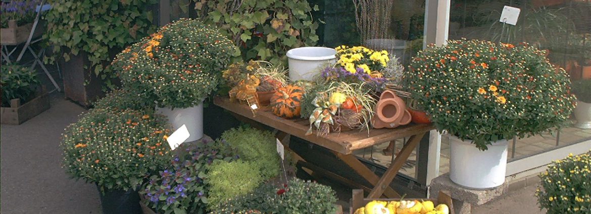 Bild bereitgestellt von eingetragener Firma