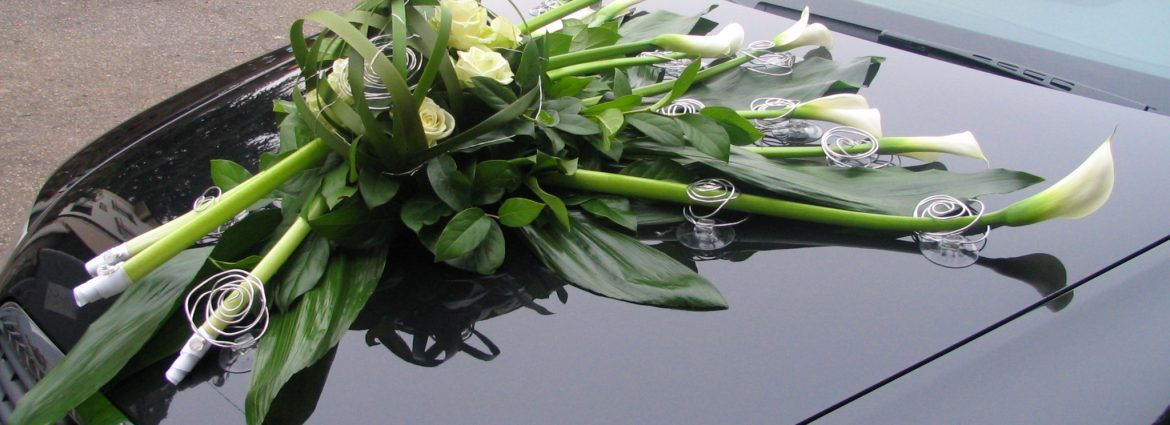 Bild bereitgestellt von eingetragener Firma