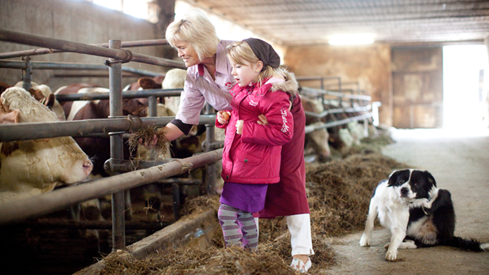 Bild bereitgestellt von eingetragener Firma